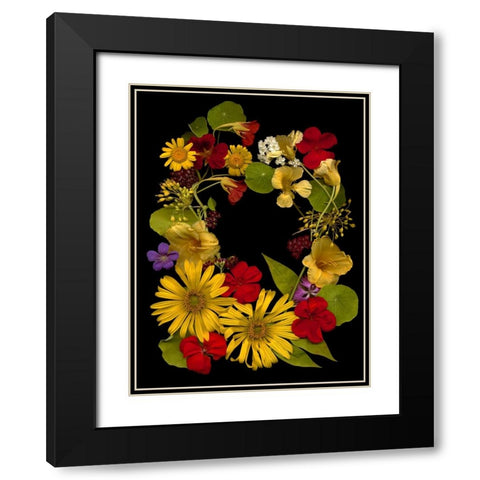 Flower Drama IX Black Modern Wood Framed Art Print with Double Matting by Stalus, Judy