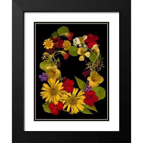 Flower Drama IX Black Modern Wood Framed Art Print with Double Matting by Stalus, Judy