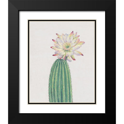 Cactus Blossom I Black Modern Wood Framed Art Print with Double Matting by OToole, Tim