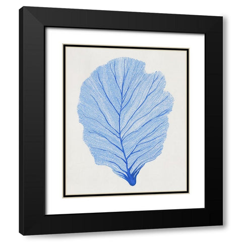 Indigo Sea Fan II Black Modern Wood Framed Art Print with Double Matting by OToole, Tim