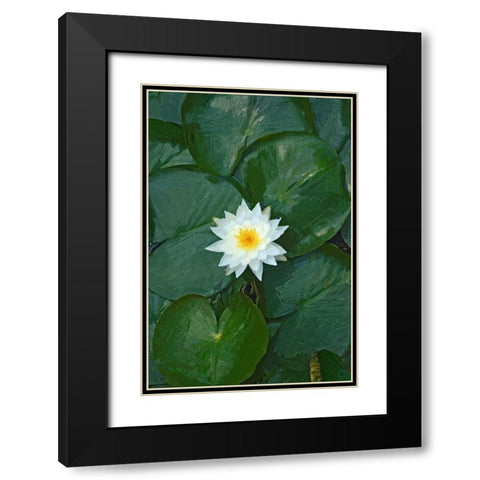 White Lotus Black Modern Wood Framed Art Print with Double Matting by Pica, Jeff