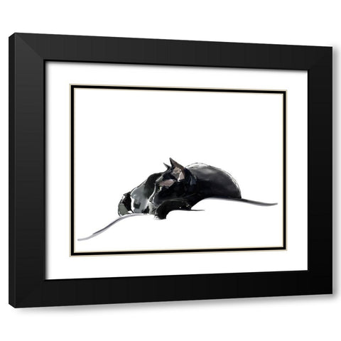 Asher III Black Modern Wood Framed Art Print with Double Matting by Kalina, Emily