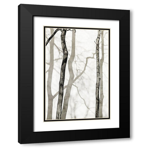 Shadowed Tree Trunks II Black Modern Wood Framed Art Print with Double Matting by Aldridge, Ashley