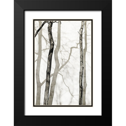 Shadowed Tree Trunks II Black Modern Wood Framed Art Print with Double Matting by Aldridge, Ashley