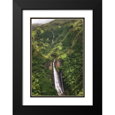 Jarassic Falls Black Modern Wood Framed Art Print with Double Matting by Head, Danny