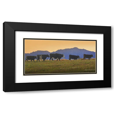 Five Cows in a Row Black Modern Wood Framed Art Print with Double Matting by Vest, Chris