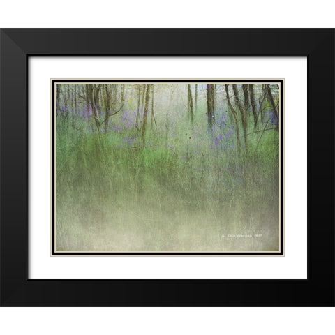 Glimpse of the Lake Black Modern Wood Framed Art Print with Double Matting by Vest, Chris