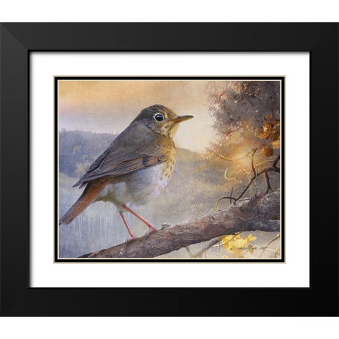 Hermit Thrush Hillside Drive Black Modern Wood Framed Art Print with Double Matting by Vest, Chris