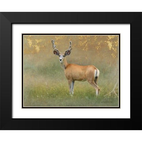 High Summer Velvet Buck Deer Black Modern Wood Framed Art Print with Double Matting by Vest, Chris