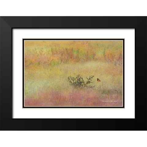 Koshia in Muhly Grass Black Modern Wood Framed Art Print with Double Matting by Vest, Chris