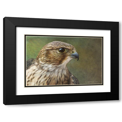 Merlin Portrait Black Modern Wood Framed Art Print with Double Matting by Vest, Chris