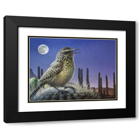 Saguaro Cactus Wren by Moonlight Black Modern Wood Framed Art Print with Double Matting by Vest, Chris