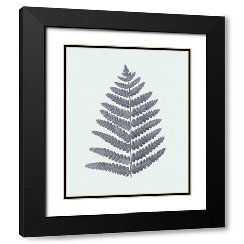 Antique Silver Ferns II Black Modern Wood Framed Art Print with Double Matting by Vision Studio