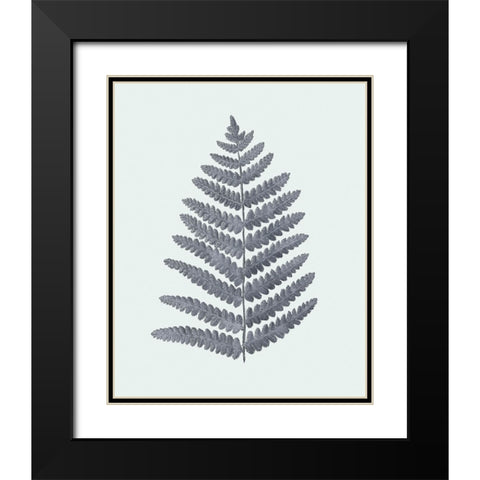 Antique Silver Ferns II Black Modern Wood Framed Art Print with Double Matting by Vision Studio