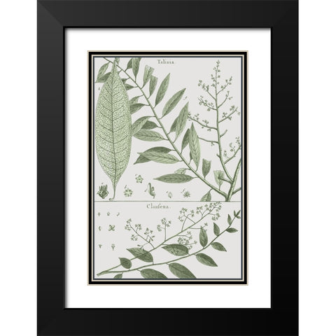 Antique Ferns Revival I Black Modern Wood Framed Art Print with Double Matting by Dedirot