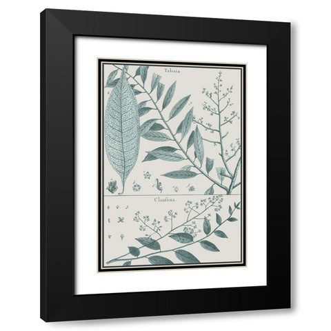 Antique Ferns Revival III Black Modern Wood Framed Art Print with Double Matting by Dedirot
