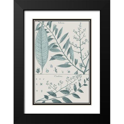 Antique Ferns Revival III Black Modern Wood Framed Art Print with Double Matting by Dedirot