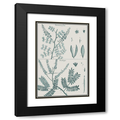 Antique Ferns Revival IV Black Modern Wood Framed Art Print with Double Matting by Dedirot
