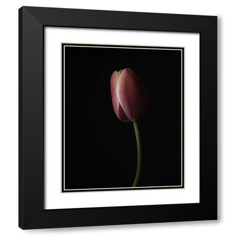 Beautiful Curve I Black Modern Wood Framed Art Print with Double Matting by McLean, Leah
