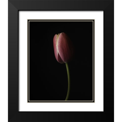 Beautiful Curve I Black Modern Wood Framed Art Print with Double Matting by McLean, Leah