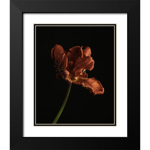 Beautiful Curve II Black Modern Wood Framed Art Print with Double Matting by McLean, Leah