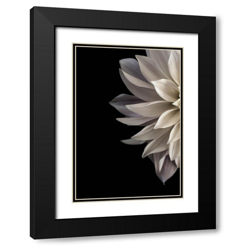 Shattered Petals I Black Modern Wood Framed Art Print with Double Matting by Stalus, Judy