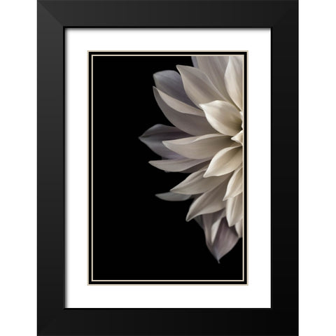 Shattered Petals I Black Modern Wood Framed Art Print with Double Matting by Stalus, Judy
