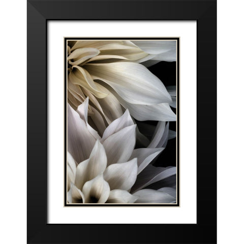 Shattered Petals III Black Modern Wood Framed Art Print with Double Matting by Stalus, Judy