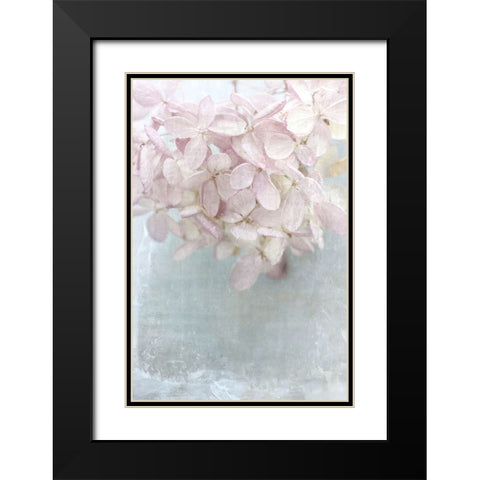 Frosted Over II Black Modern Wood Framed Art Print with Double Matting by Stalus, Judy
