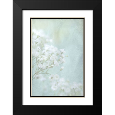 Soft Whisper I Black Modern Wood Framed Art Print with Double Matting by Stalus, Judy