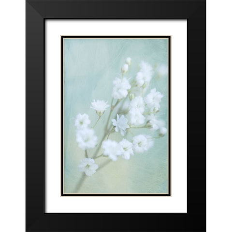 Soft Whisper III Black Modern Wood Framed Art Print with Double Matting by Stalus, Judy