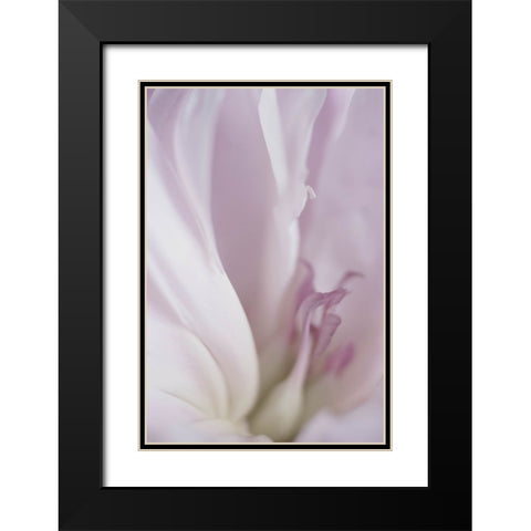 Maiden II Black Modern Wood Framed Art Print with Double Matting by Stalus, Judy