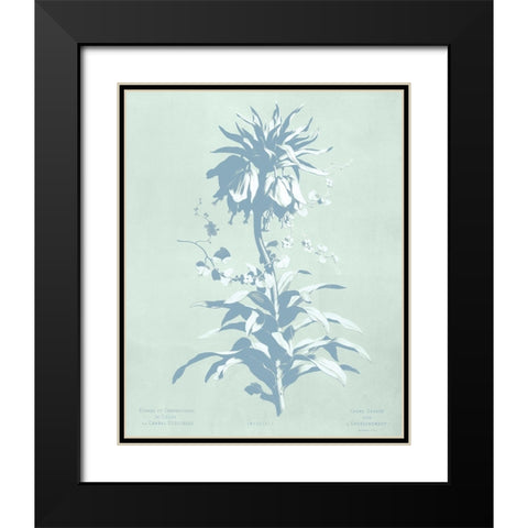Mint Lilium I Black Modern Wood Framed Art Print with Double Matting by Dussurgey, Chabal