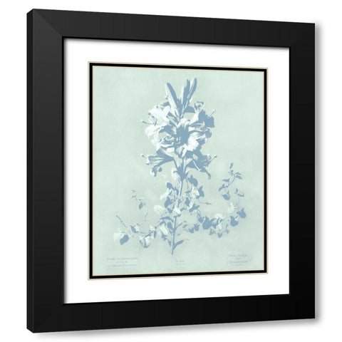 Mint Lilium II Black Modern Wood Framed Art Print with Double Matting by Dussurgey, Chabal