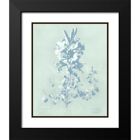 Mint Lilium II Black Modern Wood Framed Art Print with Double Matting by Dussurgey, Chabal