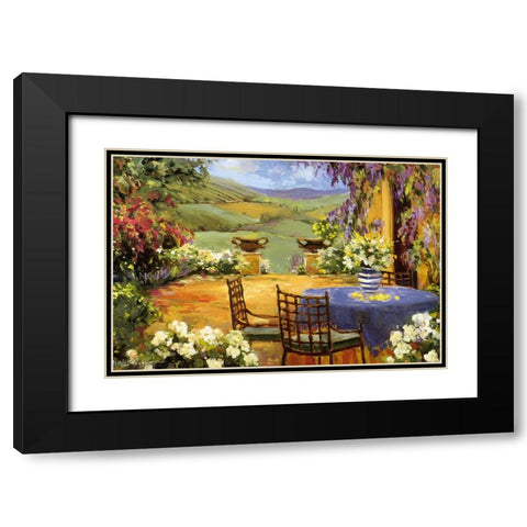 Countryside Terrace Black Modern Wood Framed Art Print with Double Matting by Stevens, Allayn
