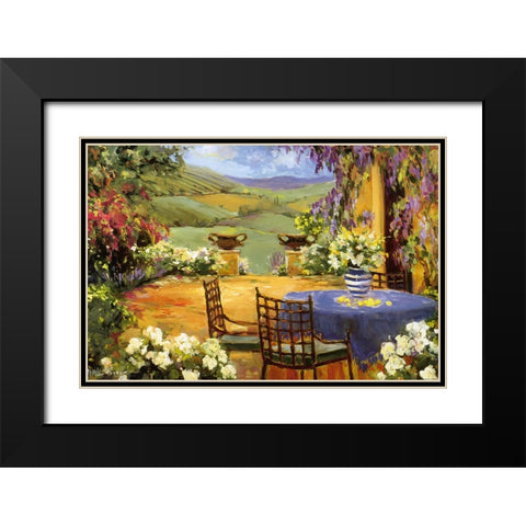 Countryside Terrace Black Modern Wood Framed Art Print with Double Matting by Stevens, Allayn