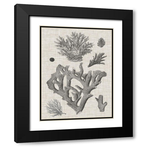 Coral on Linen II Black Modern Wood Framed Art Print with Double Matting by Vision Studio