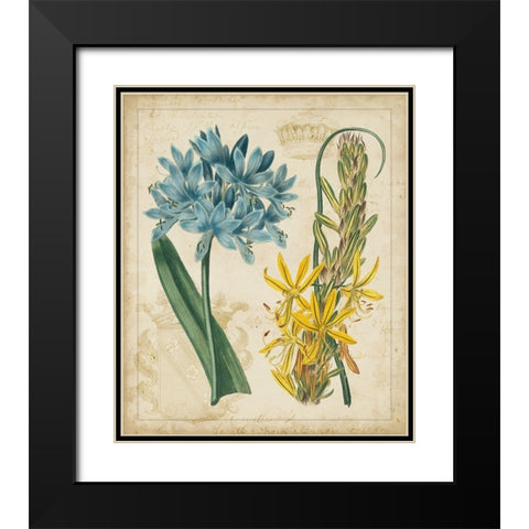 Botanical Repertoire II Black Modern Wood Framed Art Print with Double Matting by Vision Studio