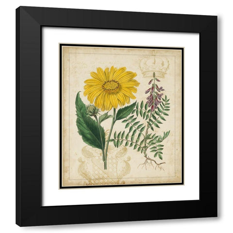 Botanical Repertoire III Black Modern Wood Framed Art Print with Double Matting by Vision Studio
