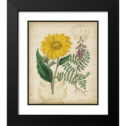 Botanical Repertoire III Black Modern Wood Framed Art Print with Double Matting by Vision Studio