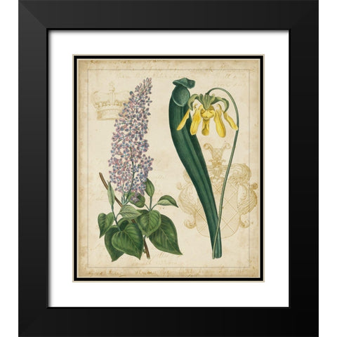 Botanical Repertoire IV Black Modern Wood Framed Art Print with Double Matting by Vision Studio