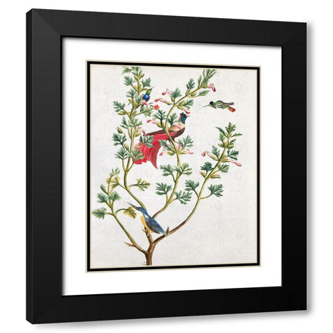 Perching Bird II Black Modern Wood Framed Art Print with Double Matting by Smith, Karen