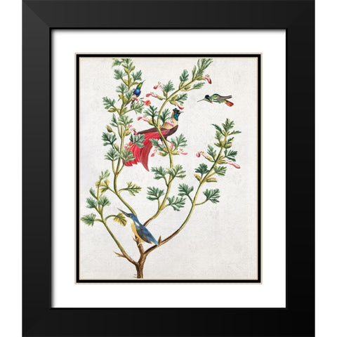 Perching Bird II Black Modern Wood Framed Art Print with Double Matting by Smith, Karen