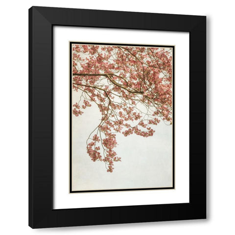 Quiet Spring  I Black Modern Wood Framed Art Print with Double Matting by Poinski, Dianne