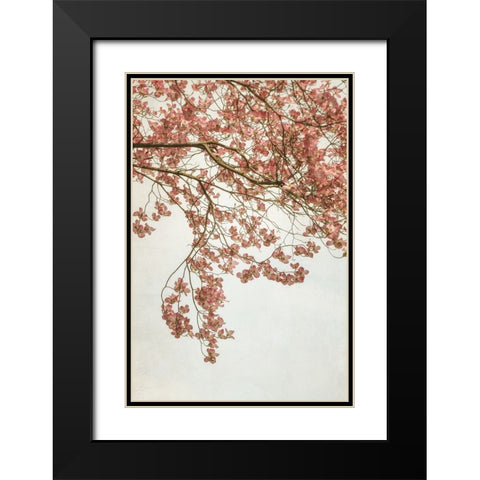 Quiet Spring  I Black Modern Wood Framed Art Print with Double Matting by Poinski, Dianne