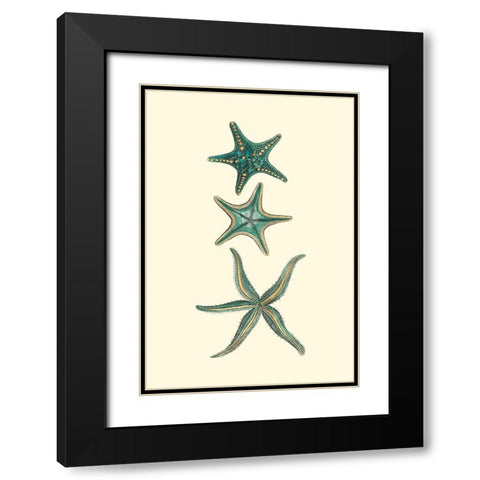 Custom Aquamarine Starfish I Black Modern Wood Framed Art Print with Double Matting by Vision Studio