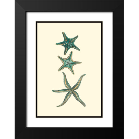 Custom Aquamarine Starfish I Black Modern Wood Framed Art Print with Double Matting by Vision Studio