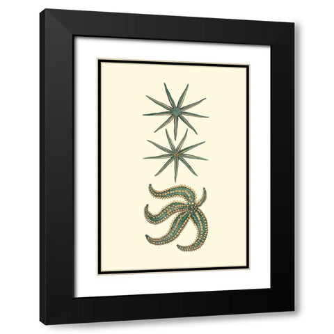 Custom Aquamarine Starfish II Black Modern Wood Framed Art Print with Double Matting by Vision Studio
