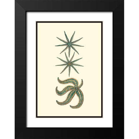 Custom Aquamarine Starfish II Black Modern Wood Framed Art Print with Double Matting by Vision Studio
